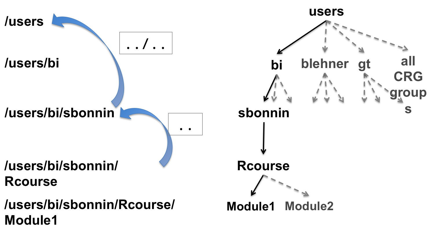 rstudio logo