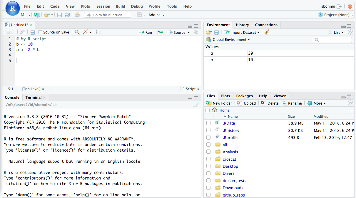 rstudio interface